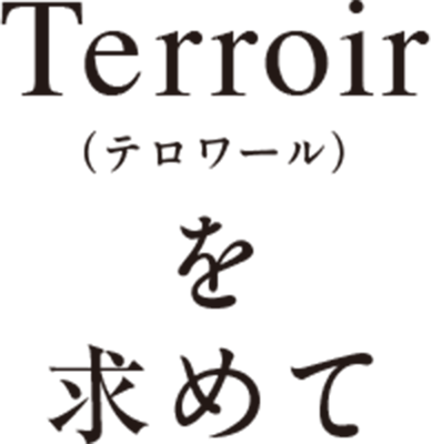 テロワールを求めて